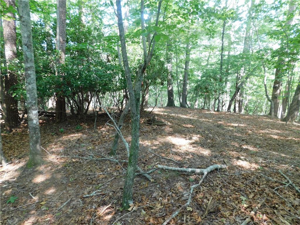 Lot 2 Sweet Apple Lane