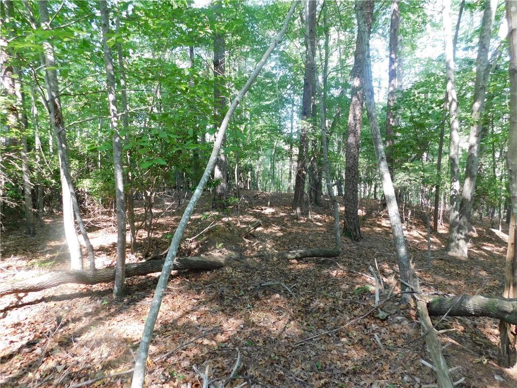 Lot 2 Sweet Apple Lane