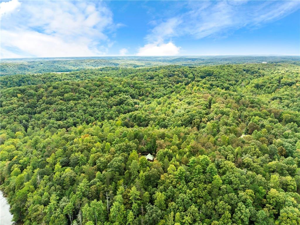499 Pine Trail