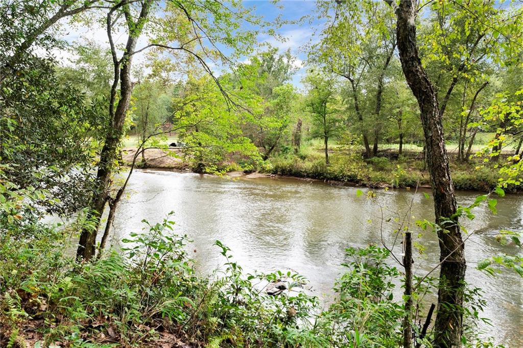 499 Pine Trail