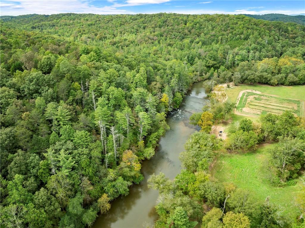 499 Pine Trail