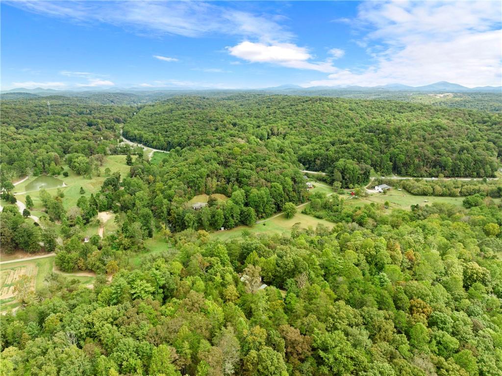 499 Pine Trail
