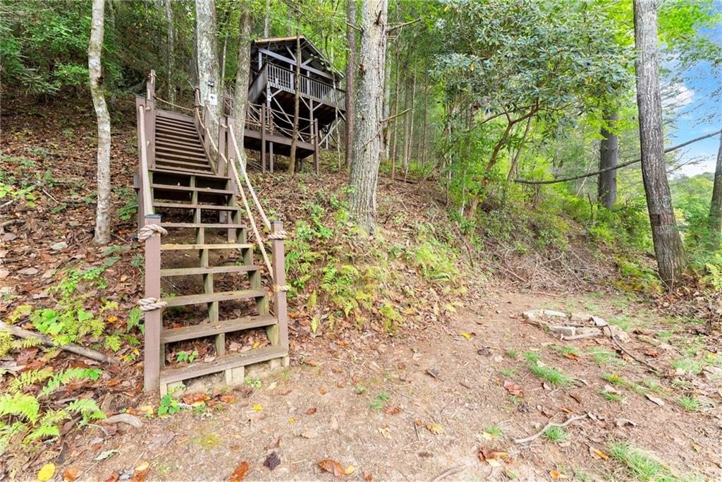 499 Pine Trail