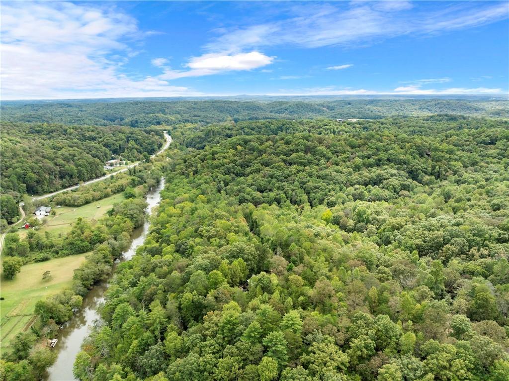 499 Pine Trail