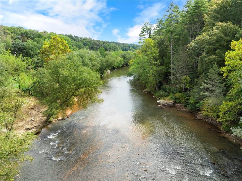 499 Pine Trail