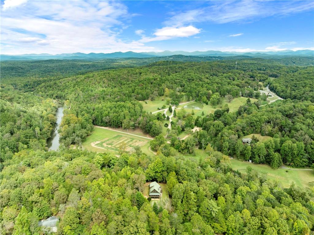 499 Pine Trail