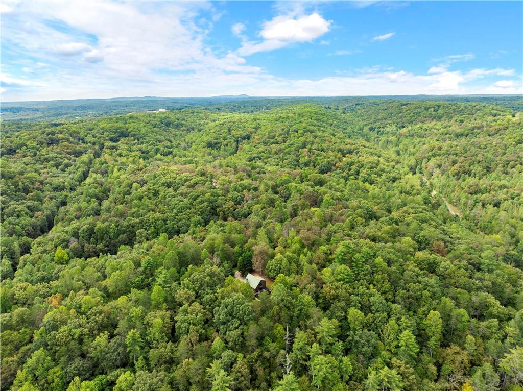 499 Pine Trail