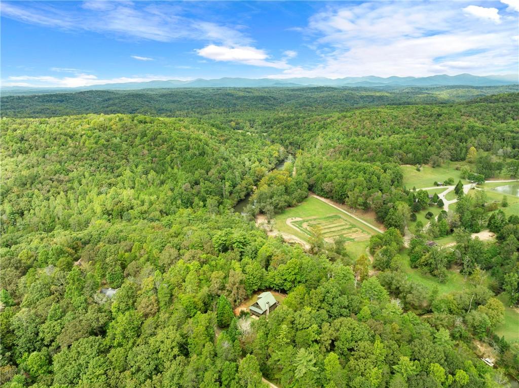 499 Pine Trail