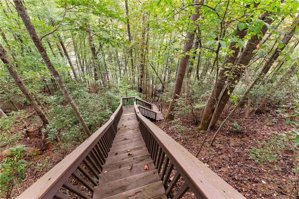 499 Pine Trail