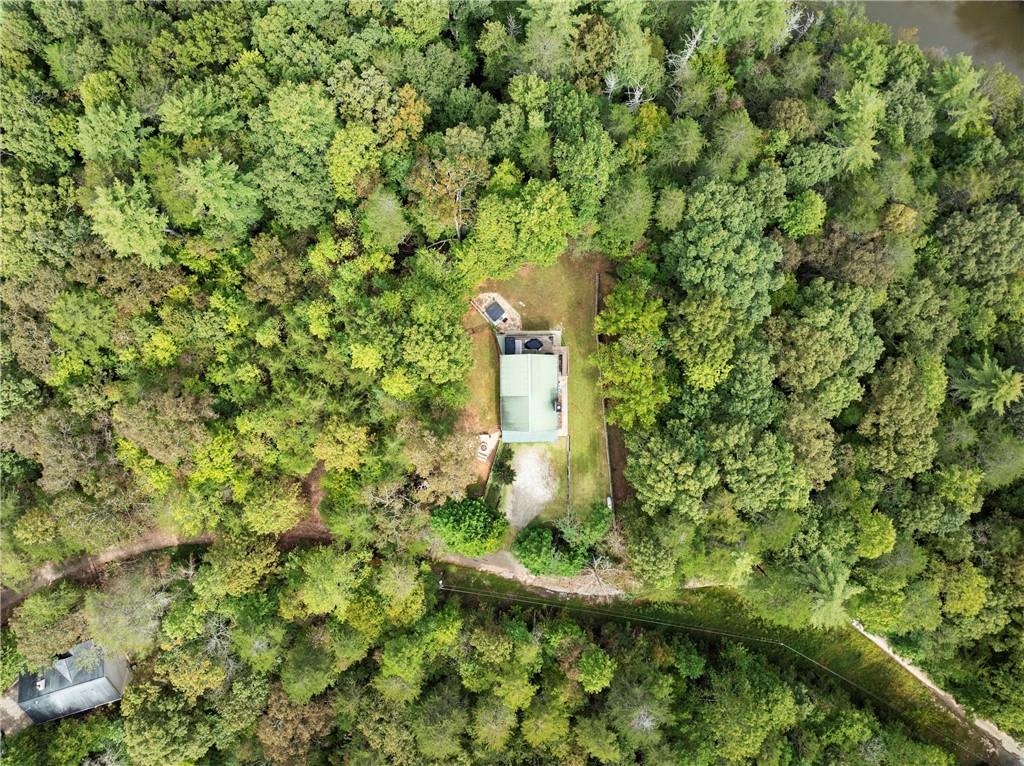 499 Pine Trail