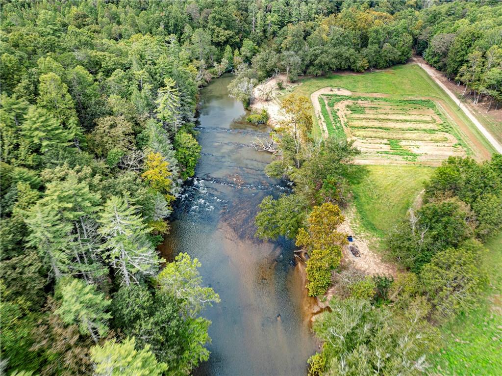 499 Pine Trail