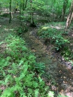 63-65 Deerwood Circle