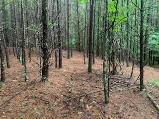 63-65 Deerwood Circle