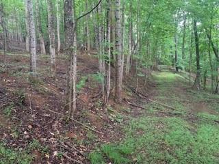 63-65 Deerwood Circle