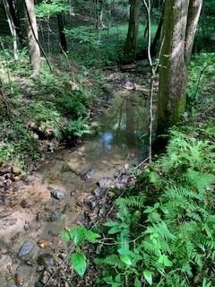 63-65 Deerwood Circle