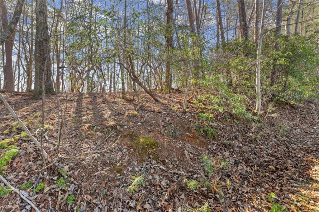 LOT 6 Sweet Apple Lane