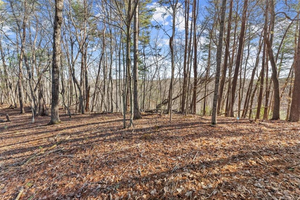 LOT 6 Sweet Apple Lane