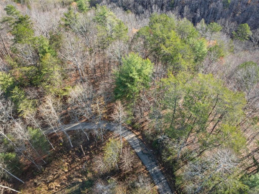 LOT 6 Sweet Apple Lane