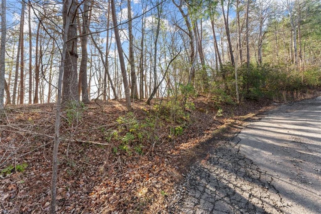LOT 6 Sweet Apple Lane