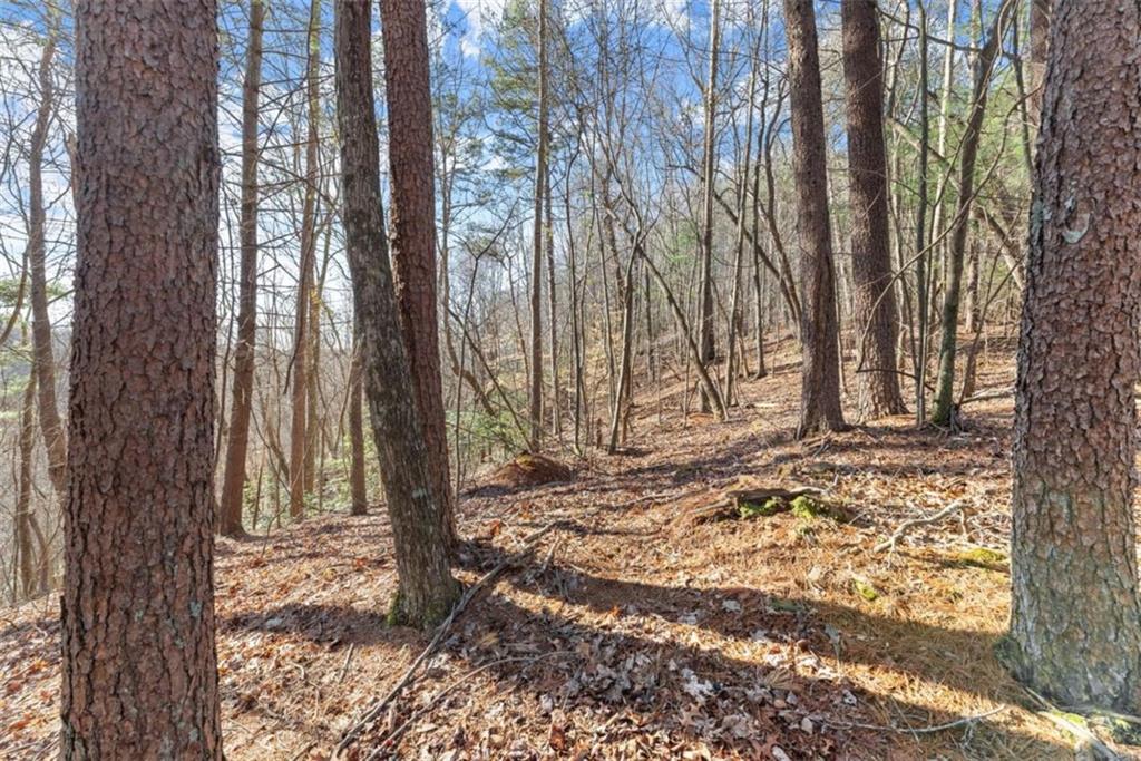 LOT 6 Sweet Apple Lane
