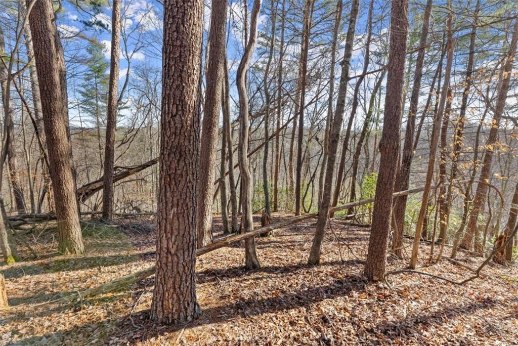 LOT 6 Sweet Apple Lane
