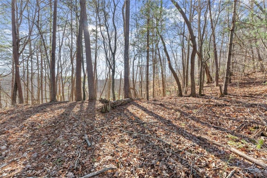 LOT 6 Sweet Apple Lane