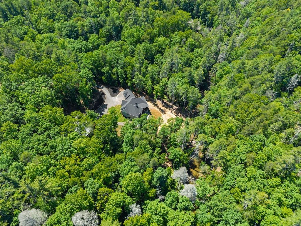650 Old Steele Hollow