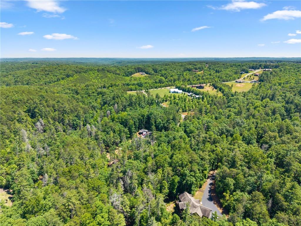650 Old Steele Hollow
