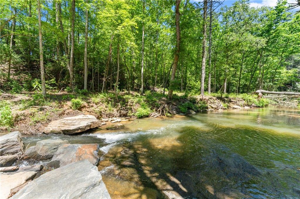 650 Old Steele Hollow