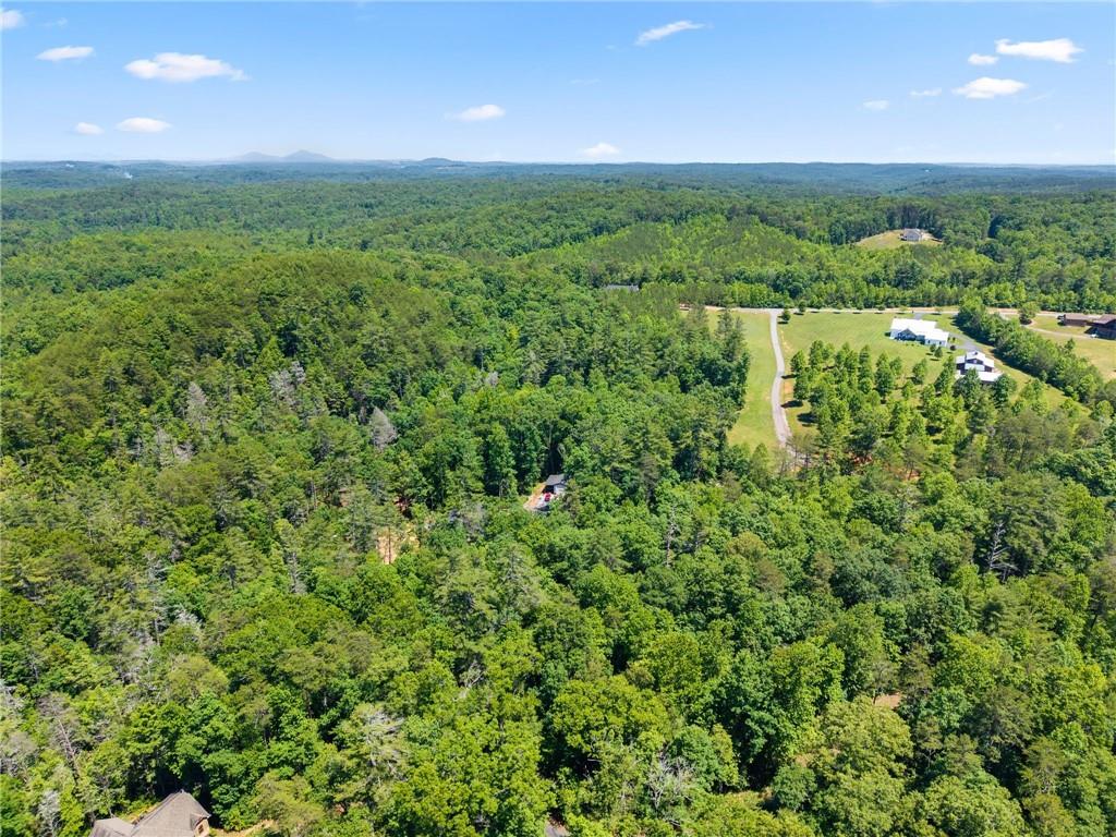 650 Old Steele Hollow