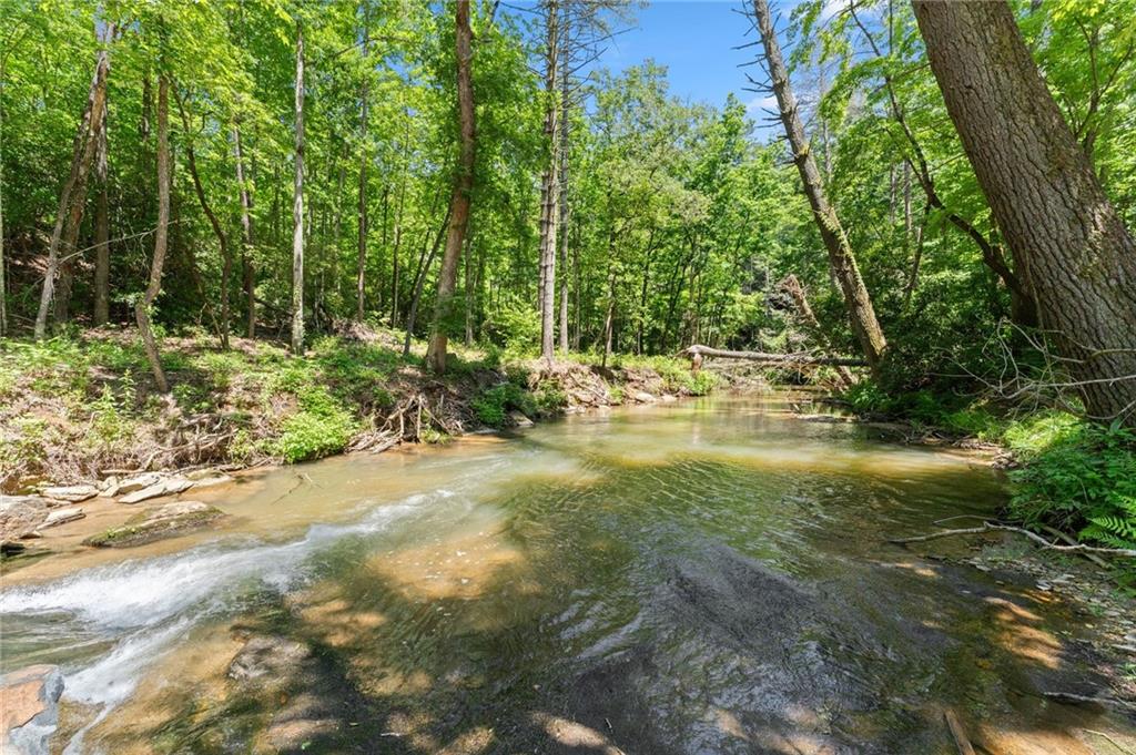 650 Old Steele Hollow
