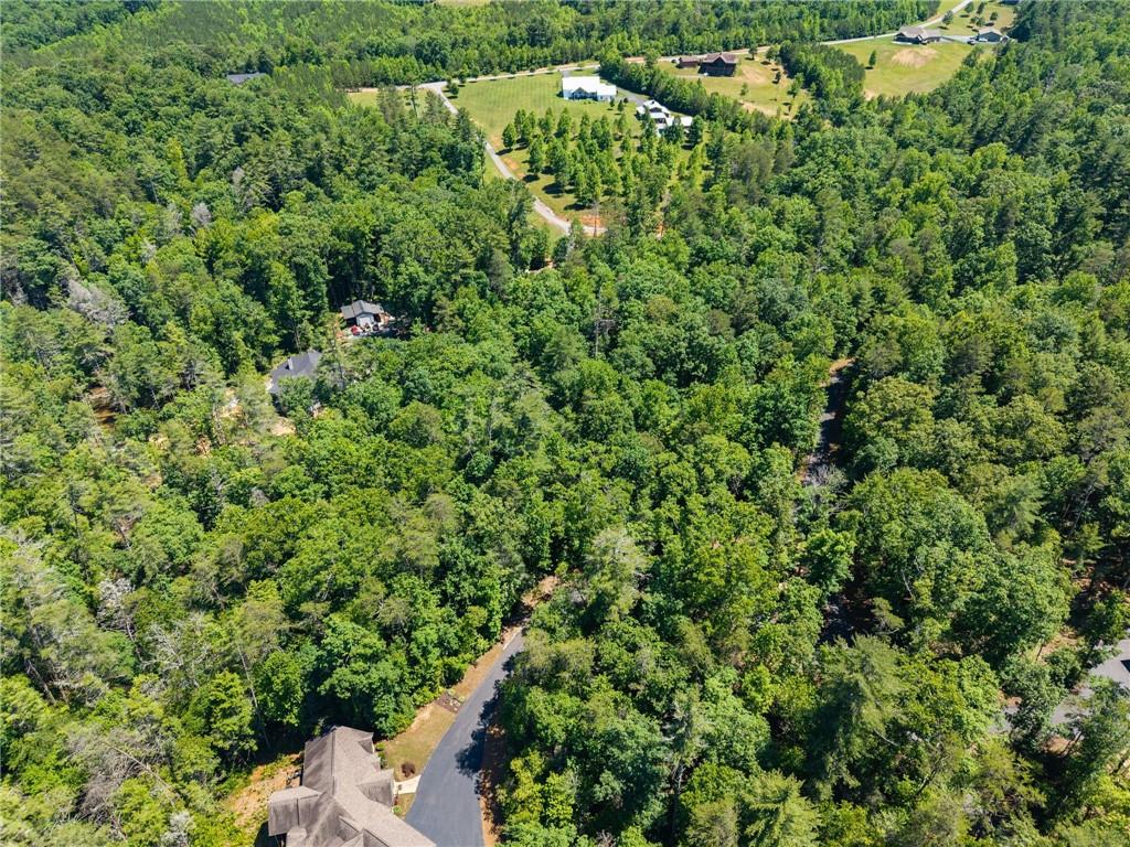 650 Old Steele Hollow