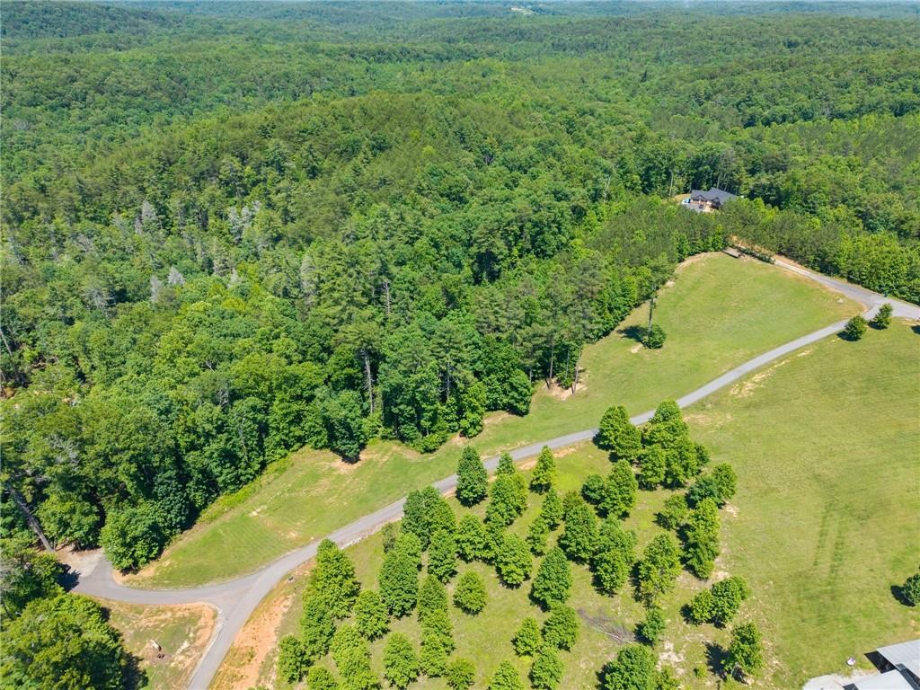 650 Old Steele Hollow