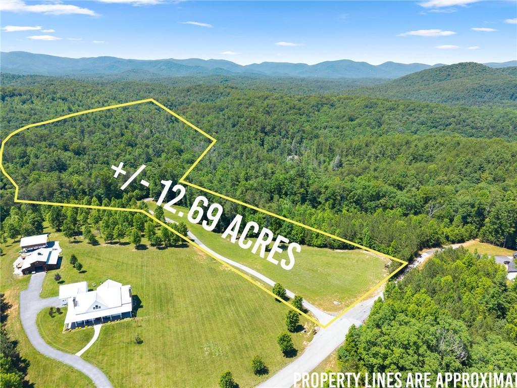 650 Old Steele Hollow