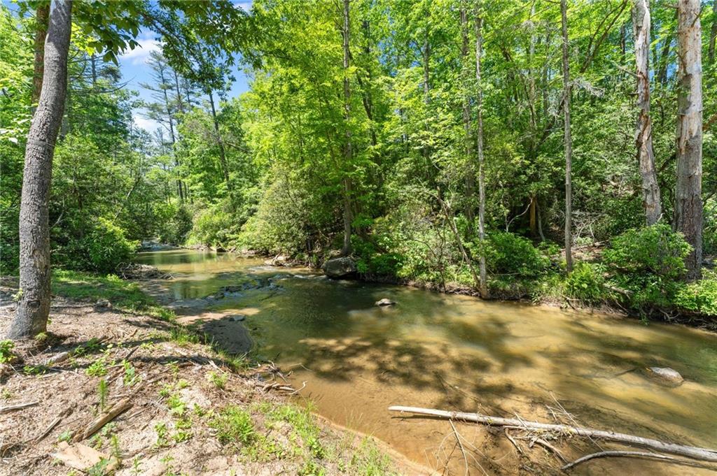 650 Old Steele Hollow