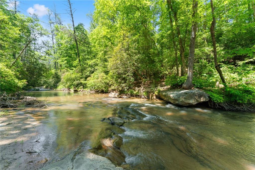 650 Old Steele Hollow