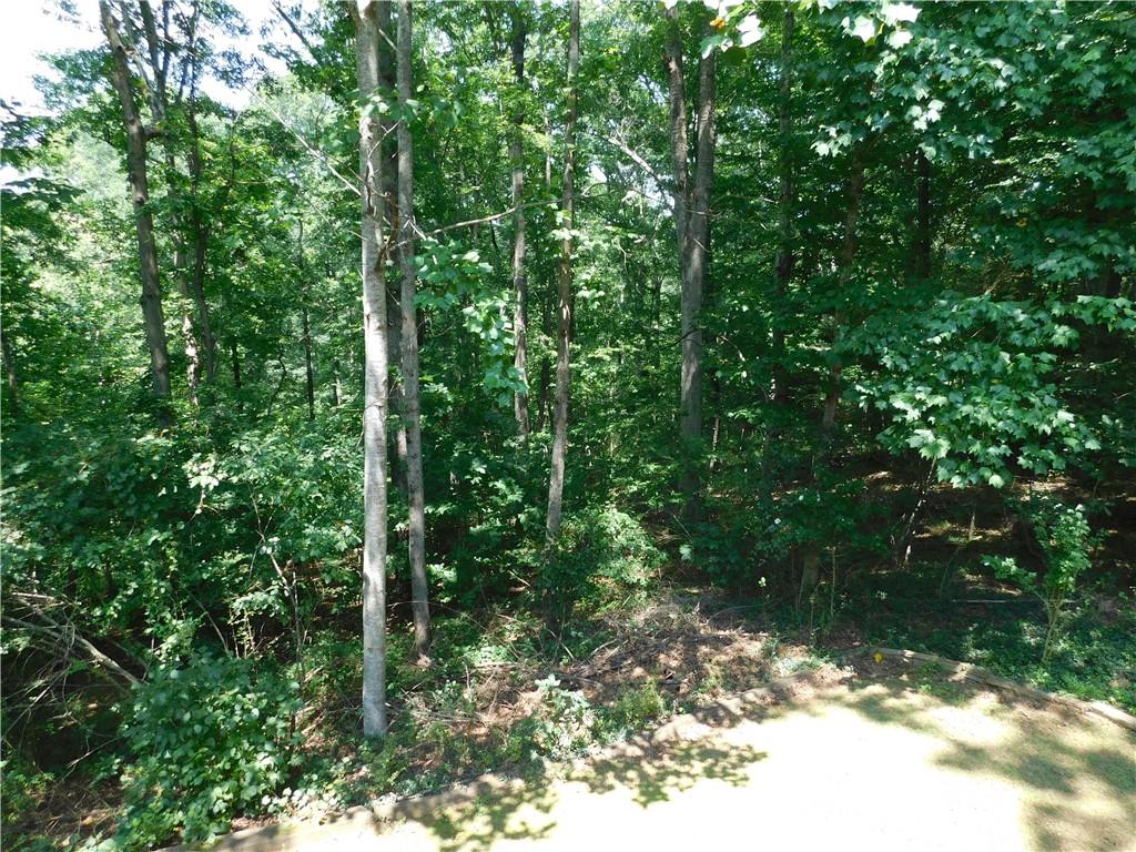 66 Spring Ridge Drive