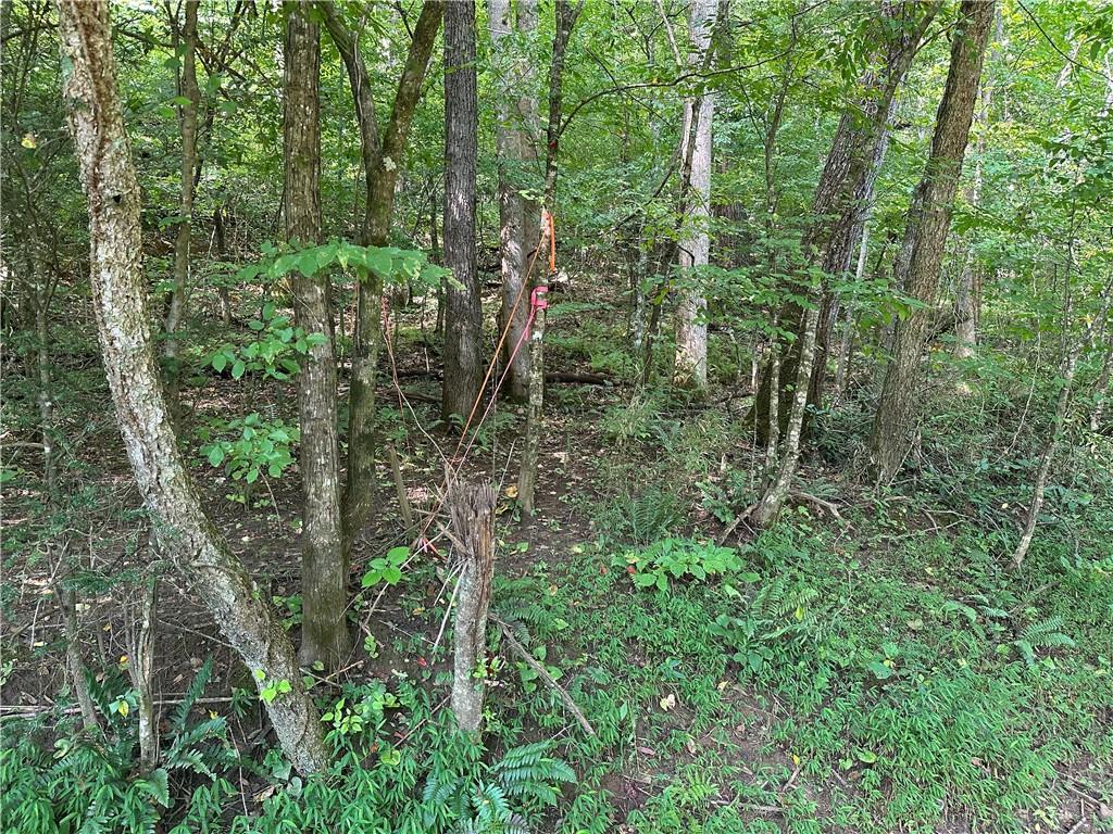 5, 10 Riverview Dr and Pine Trail