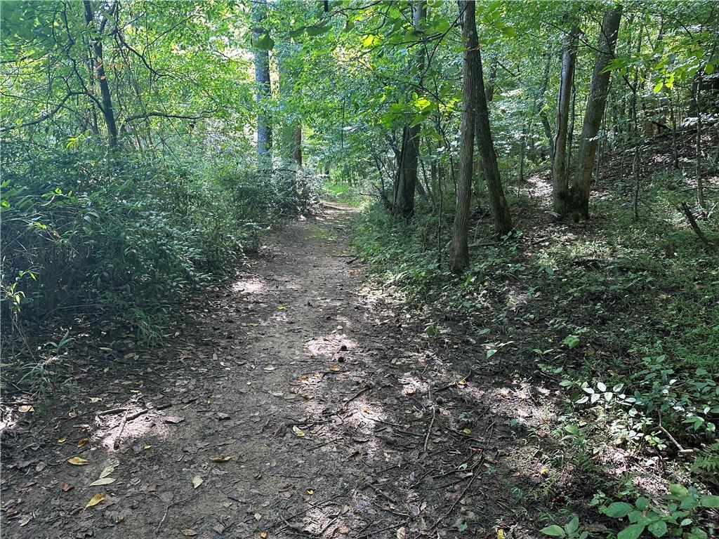 5, 10 Riverview Dr and Pine Trail