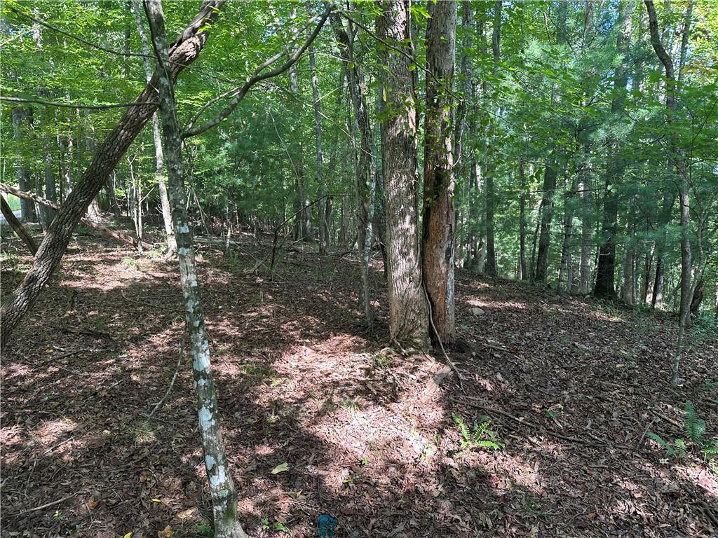 5, 10 Riverview Dr and Pine Trail