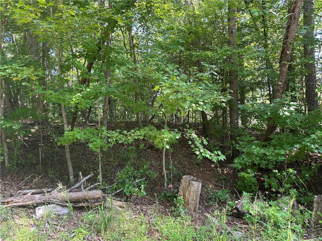 5, 10 Riverview Dr and Pine Trail