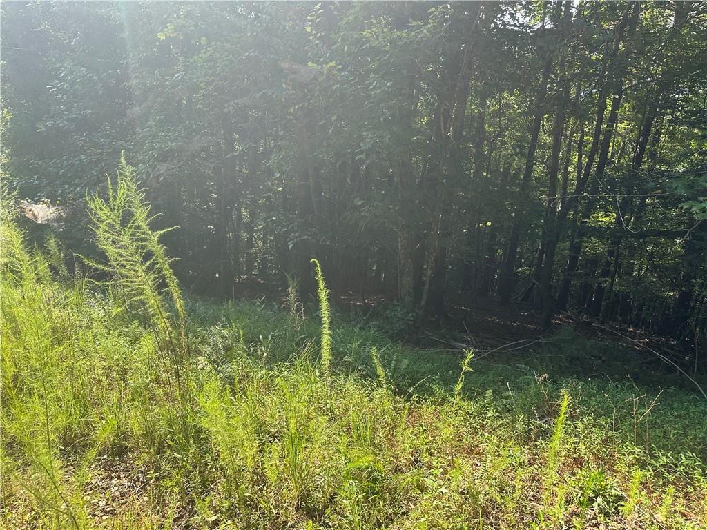 5, 10 Riverview Dr and Pine Trail