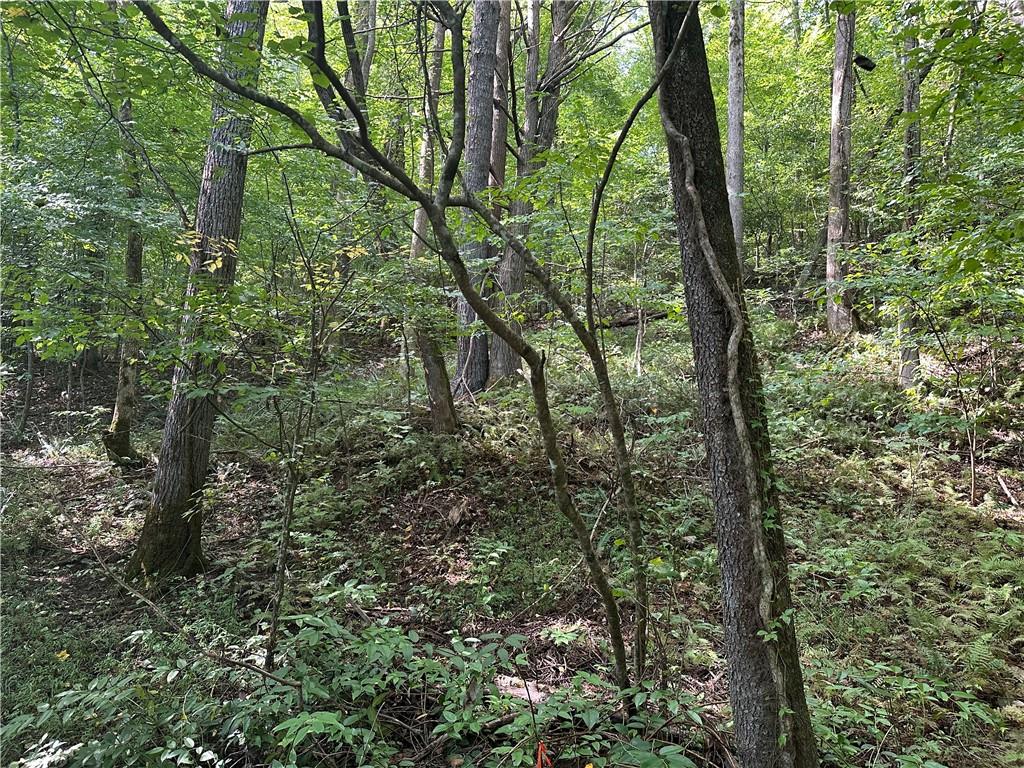 5, 10 Riverview Dr and Pine Trail