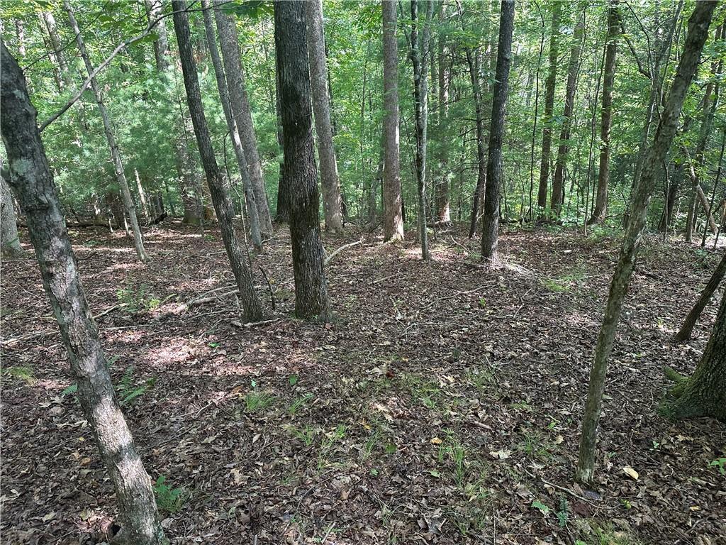 5, 10 Riverview Dr and Pine Trail