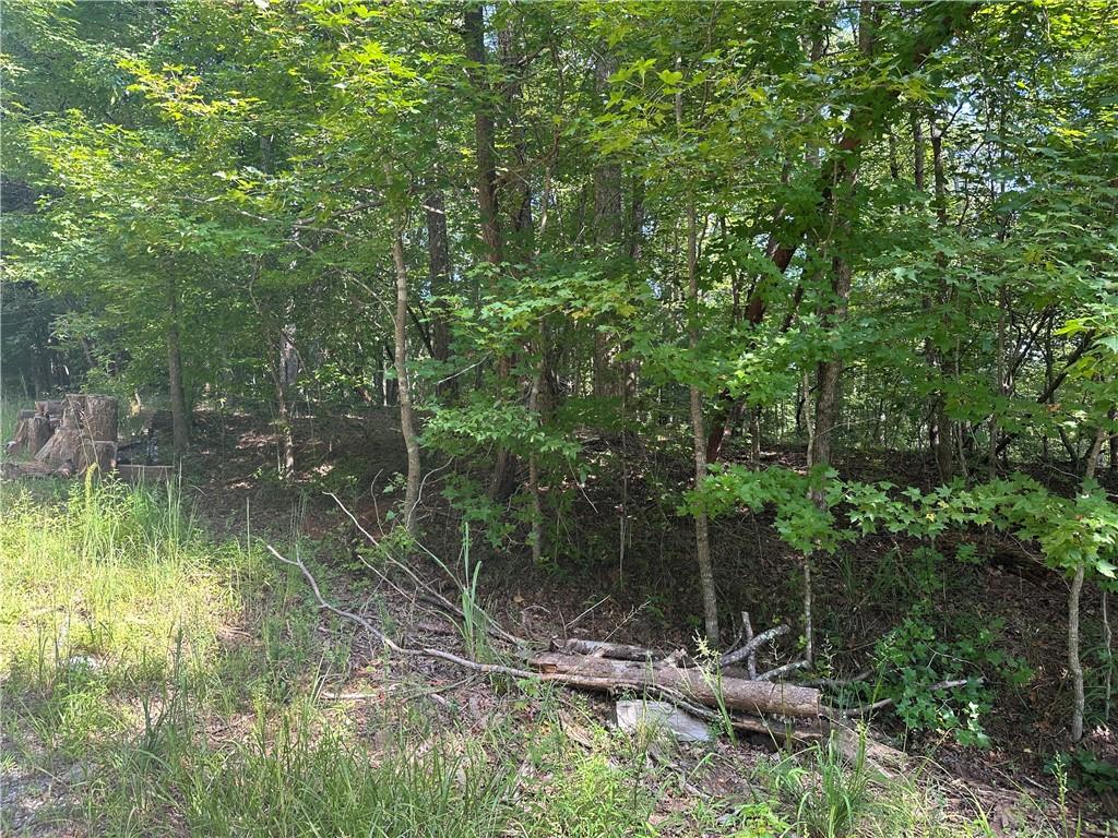 5, 10 Riverview Dr and Pine Trail