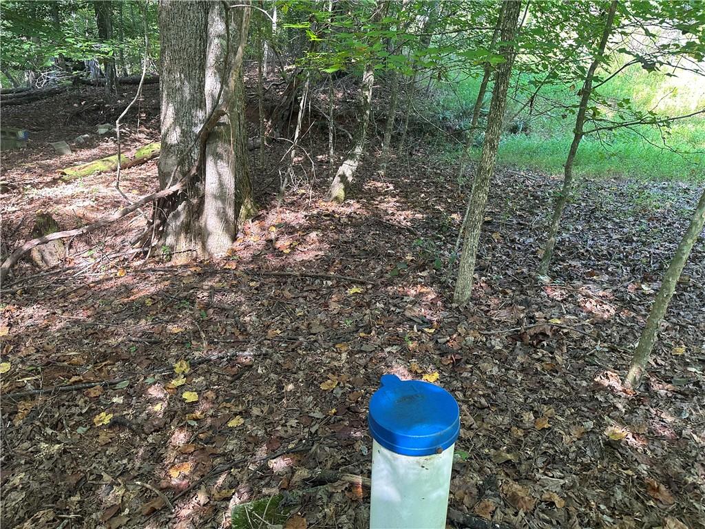 5, 10 Riverview Dr and Pine Trail