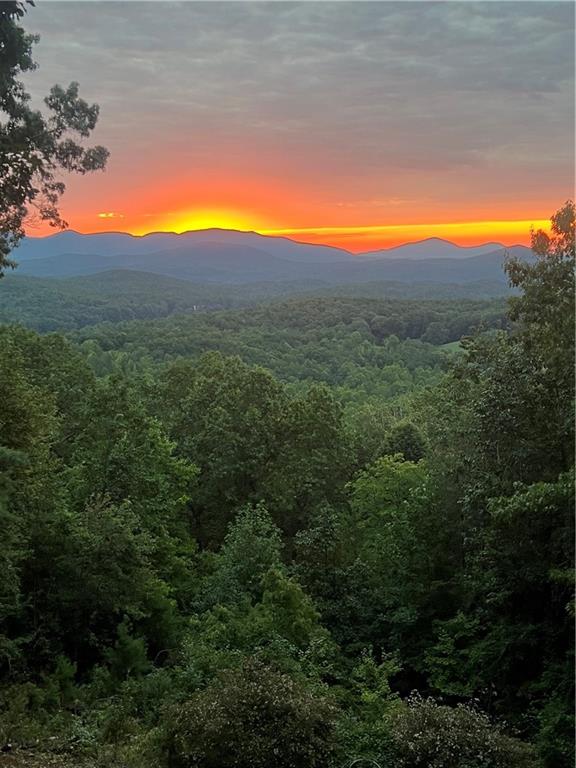 110 Yonah View