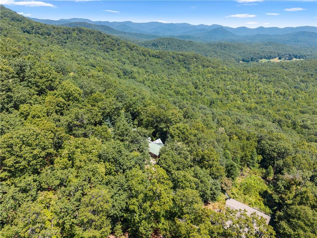 110 Yonah View