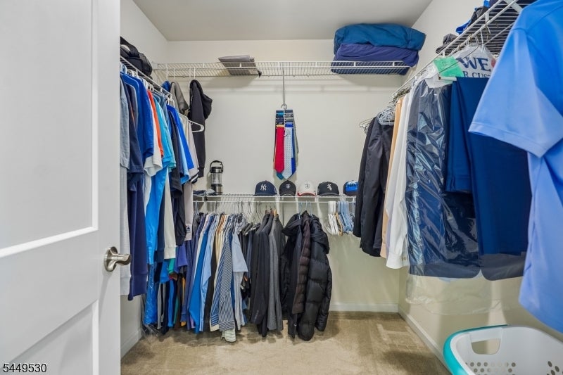 66 Lupine Ln
