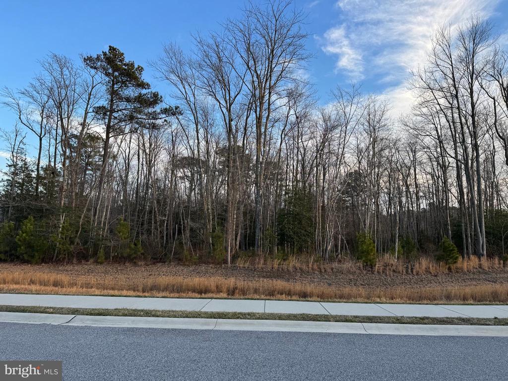 61 OLD FORGE DRIVE